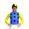 Jockey Silk