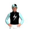 Jockey Silk