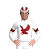 Jockey Silk