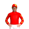 Jockey Silk