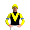 Jockey Silk