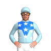 Jockey Silk