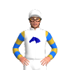 Jockey Silk