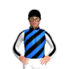 Jockey Silk