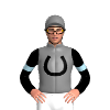 Jockey Silk