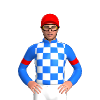 Jockey Silk