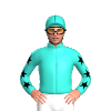 Jockey Silk