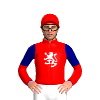 Jockey Silk