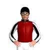 Jockey Silk