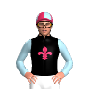 Jockey Silk