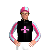 Jockey Silk