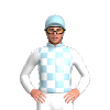 Jockey Silk