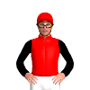 Jockey Silk