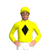 Jockey Silk