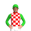 Jockey Silk