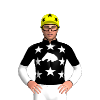 Jockey Silk