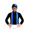 Jockey Silk