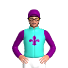 Jockey Silk