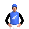 Jockey Silk