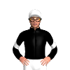 Jockey Silk