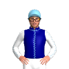 Jockey Silk