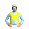 Jockey Silk