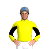 Jockey Silk