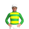 Jockey Silk