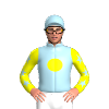 Jockey Silk