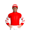 Jockey Silk
