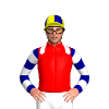 Jockey Silk