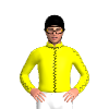 Jockey Silk