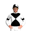 Jockey Silk