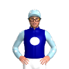 Jockey Silk