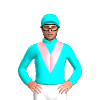 Jockey Silk