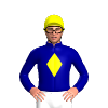 Jockey Silk