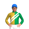 Jockey Silk