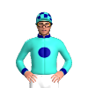 Jockey Silk