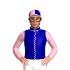 Jockey Silk