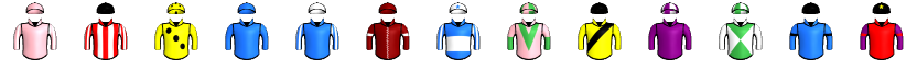 Runner silk