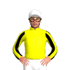 Jockey Silk