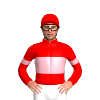 Jockey Silk