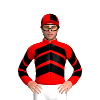 Jockey Silk