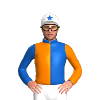 Jockey Silk