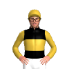 Jockey Silk
