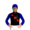 Jockey Silk