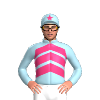 Jockey Silk