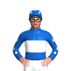 Jockey Silk