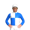 Jockey Silk