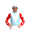 Jockey Silk